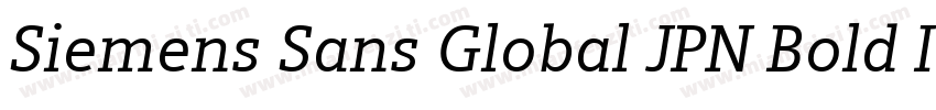 Siemens Sans Global JPN Bold Italic字体转换